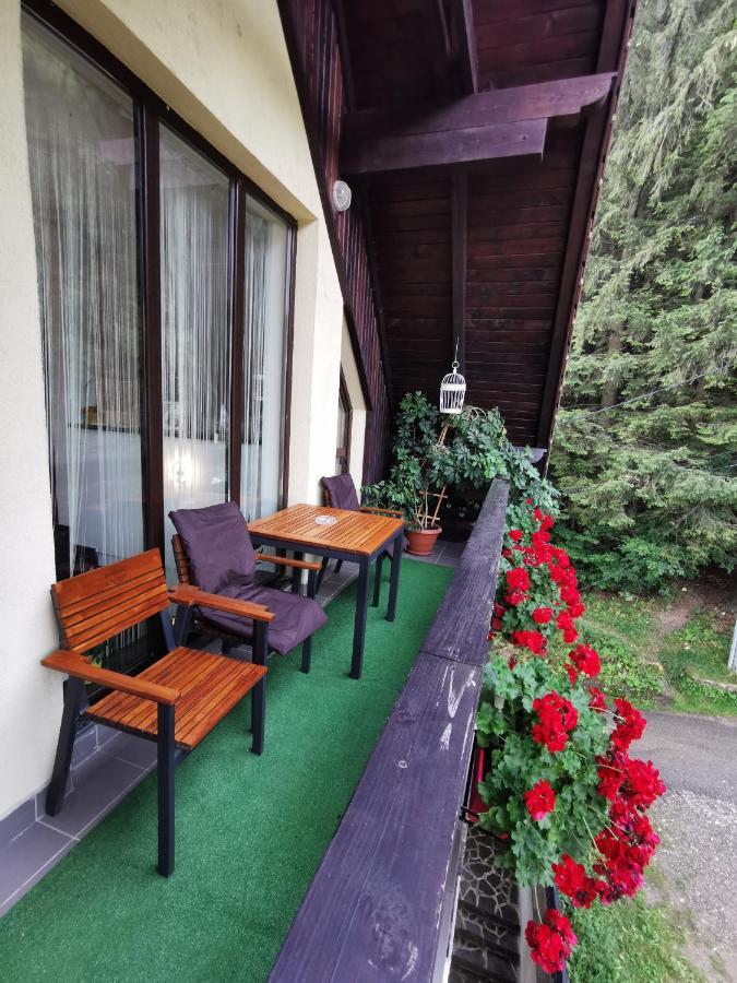 Apartament Kalinderu K1 Buşteni Eksteriør bilde