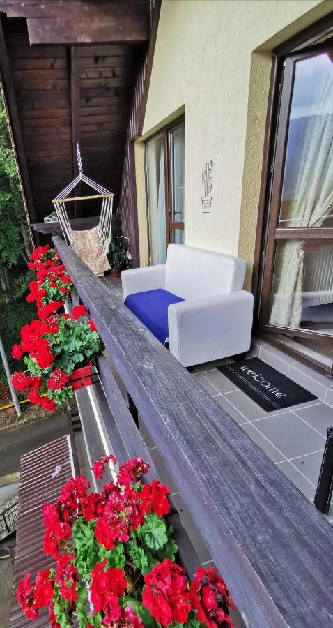 Apartament Kalinderu K1 Buşteni Eksteriør bilde