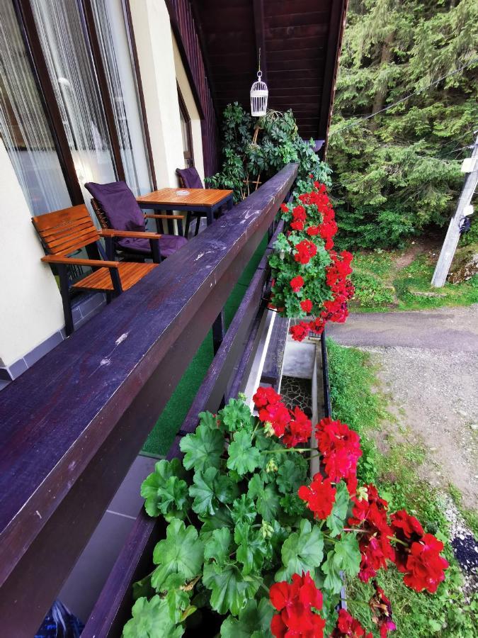 Apartament Kalinderu K1 Buşteni Eksteriør bilde