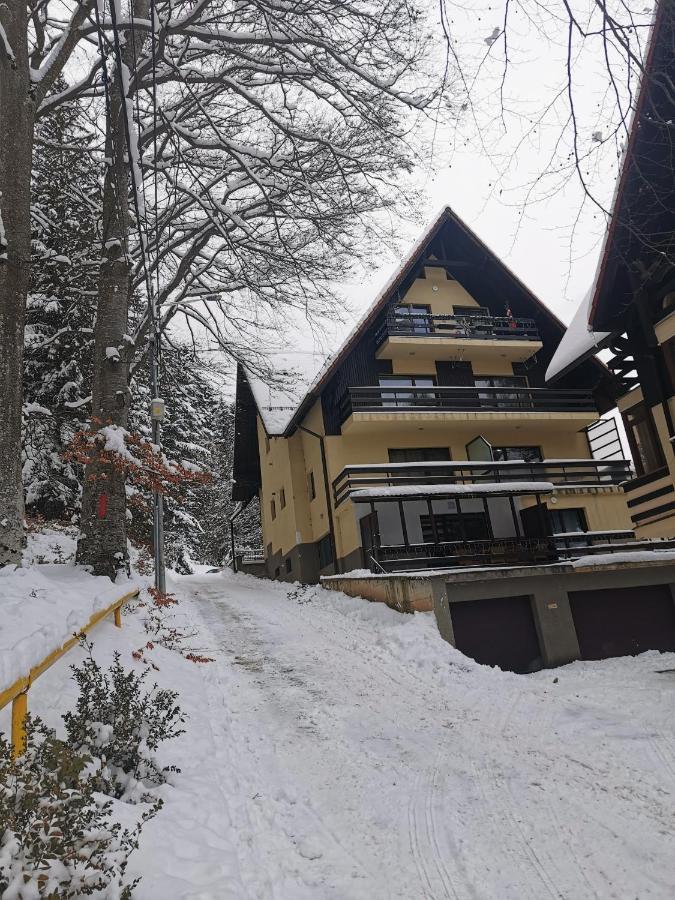Apartament Kalinderu K1 Buşteni Eksteriør bilde