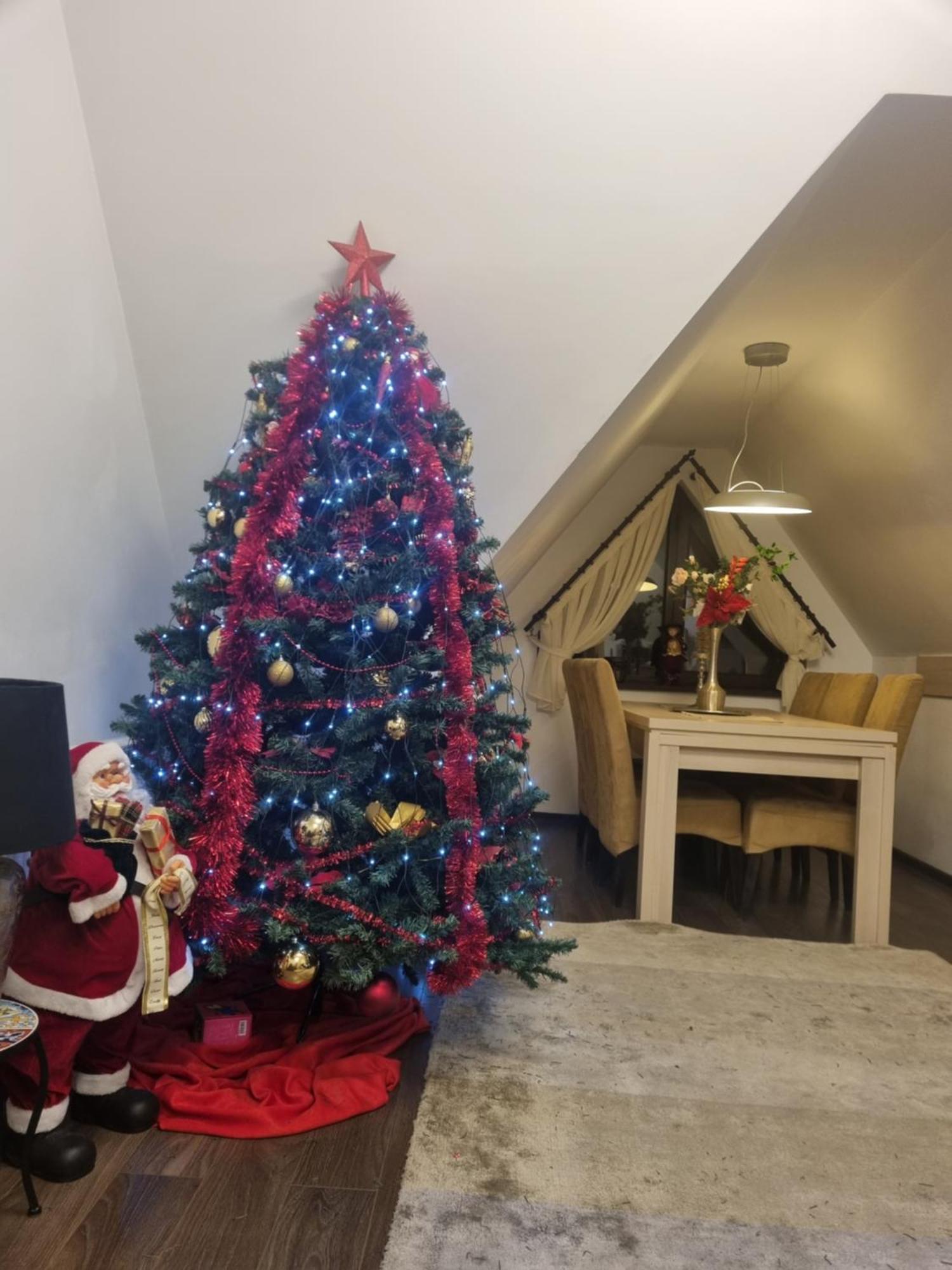 Apartament Kalinderu K1 Buşteni Eksteriør bilde