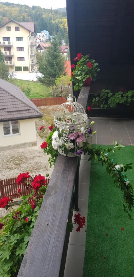 Apartament Kalinderu K1 Buşteni Eksteriør bilde